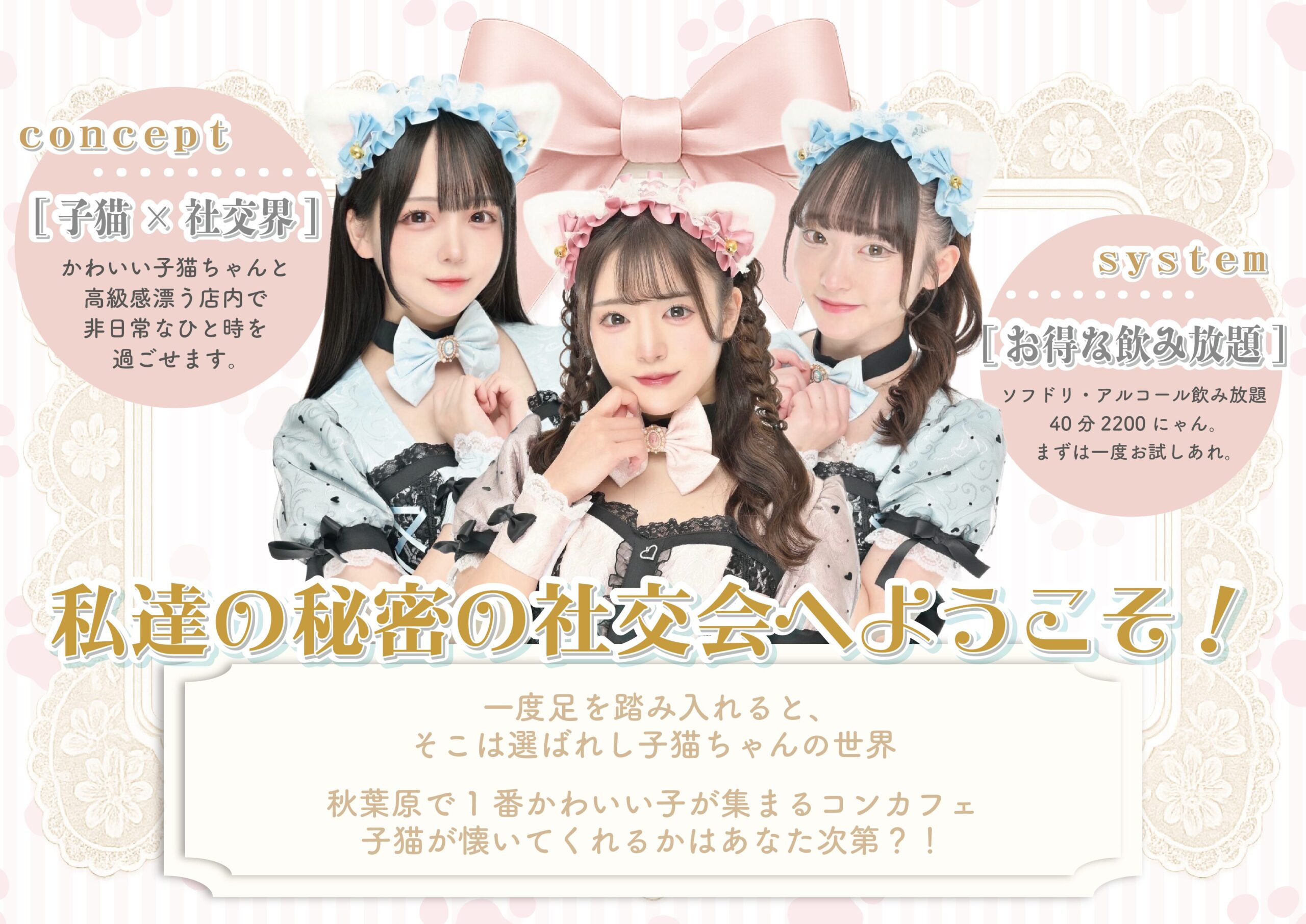 秋葉原コンカフェタイトル